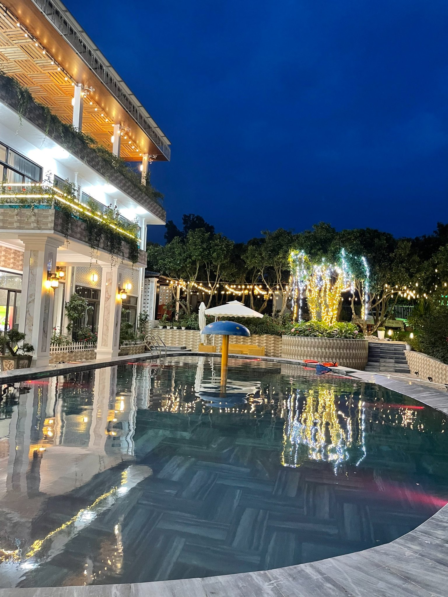 285094551_118683310846459_4175906485808713711_N 285094551 118683310846459 4175906485808713711 N